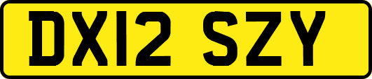 DX12SZY