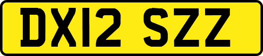 DX12SZZ
