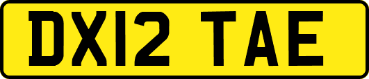 DX12TAE
