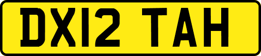 DX12TAH