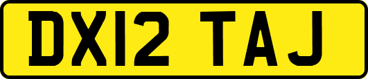 DX12TAJ