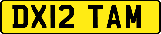 DX12TAM