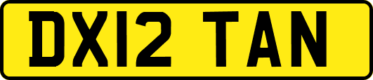 DX12TAN