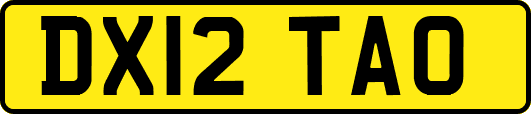 DX12TAO
