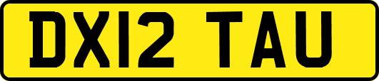 DX12TAU