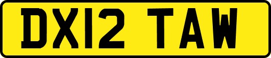 DX12TAW