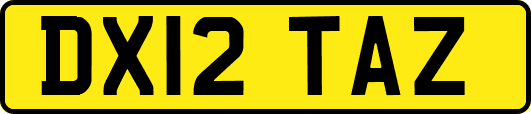 DX12TAZ