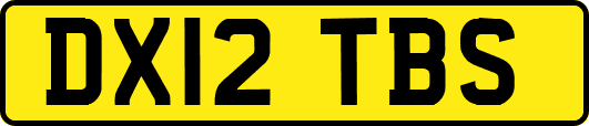 DX12TBS