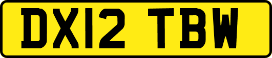 DX12TBW