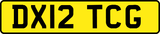DX12TCG