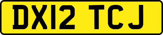 DX12TCJ