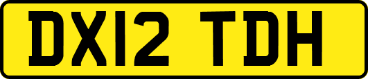DX12TDH