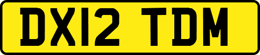 DX12TDM