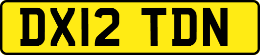 DX12TDN