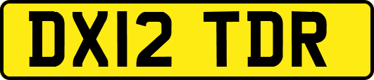 DX12TDR
