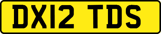 DX12TDS
