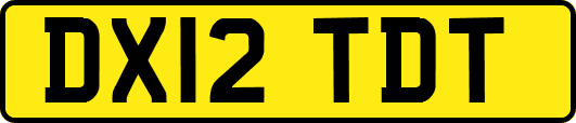 DX12TDT