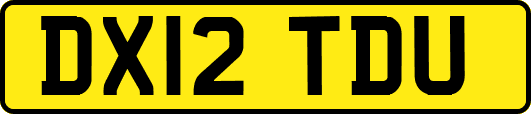 DX12TDU
