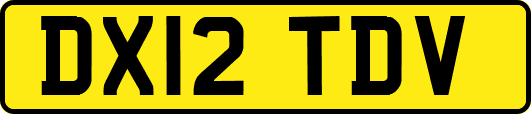 DX12TDV