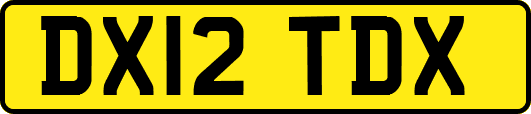 DX12TDX
