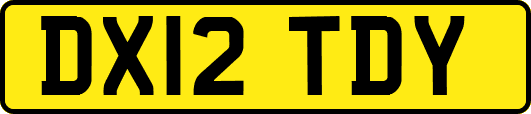 DX12TDY