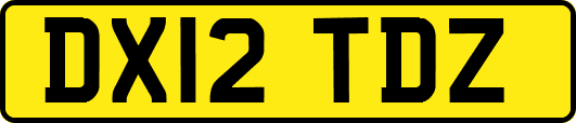 DX12TDZ
