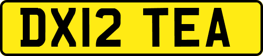 DX12TEA