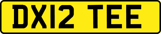 DX12TEE