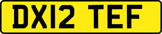 DX12TEF