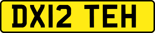 DX12TEH