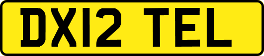 DX12TEL