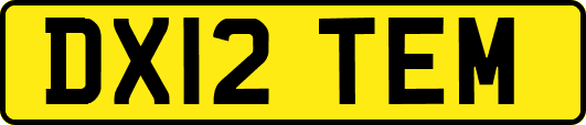 DX12TEM