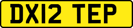 DX12TEP