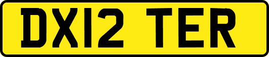 DX12TER