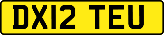 DX12TEU