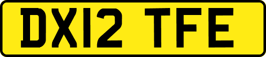 DX12TFE