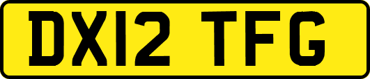 DX12TFG