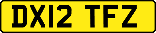 DX12TFZ