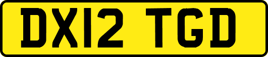 DX12TGD
