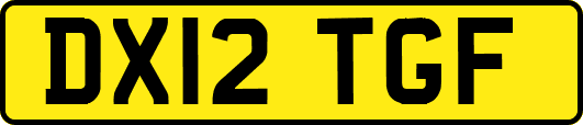 DX12TGF