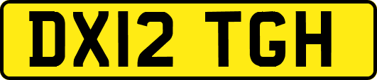 DX12TGH