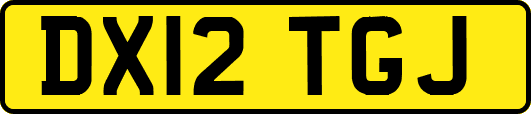 DX12TGJ