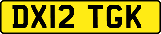 DX12TGK
