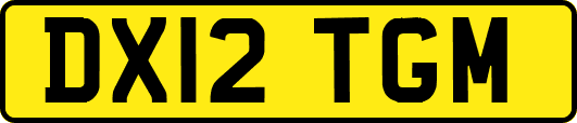 DX12TGM