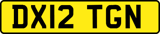 DX12TGN