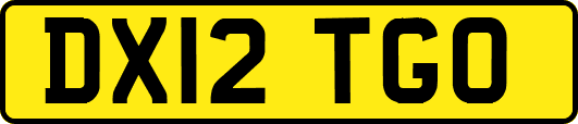 DX12TGO