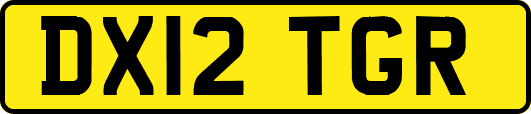 DX12TGR