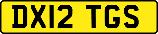 DX12TGS