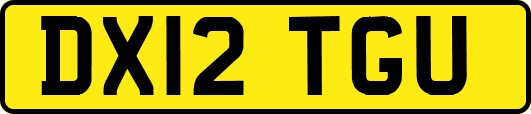 DX12TGU