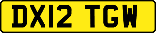 DX12TGW